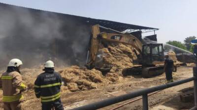 Hatay’ın Antakya ilçesi Paşaköy Mahallesi’nde bir çiftliğe ait samanlıkta çıkan