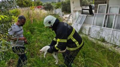 Hatay’ın Samandağ ilçesine bağlı Yaylıca Mahallesi’nde, hasar görmüş bir binada