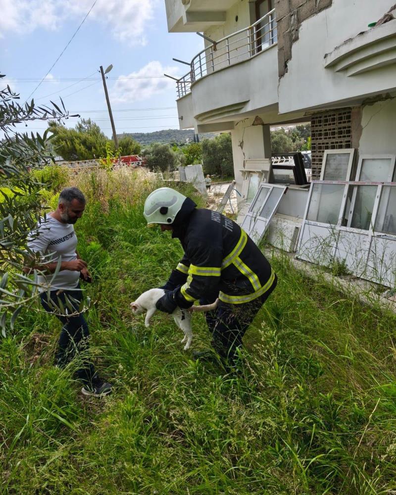 Hatay’ın Samandağ ilçesine bağlı Yaylıca Mahallesi’nde, hasar görmüş bir binada