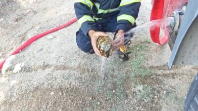 Hatay’ın Belen ilçesine bağlı Çakallı Mahallesi’nde çıkan bahçe yangını, kısa