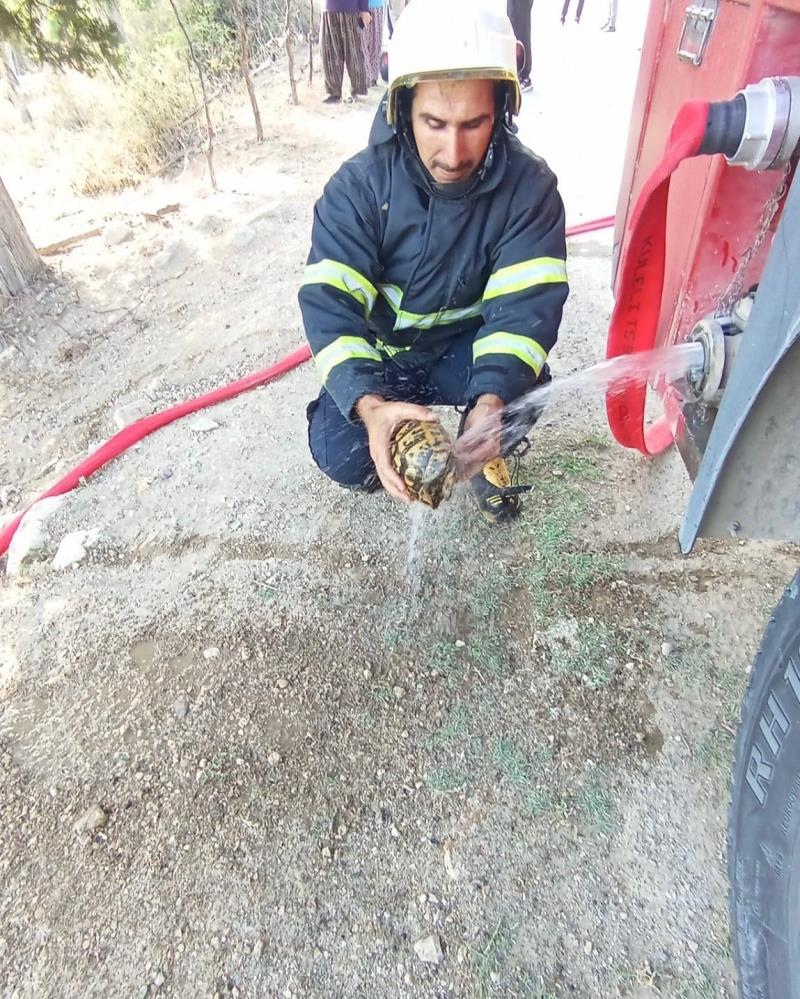 Hatay’ın Belen ilçesine bağlı Çakallı Mahallesi’nde çıkan bahçe yangını, kısa