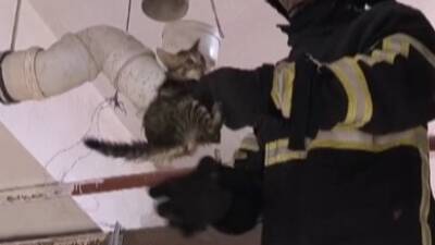 Hatay’ın Reyhanlı ilçesinde boruya sıkışarak mahsur kalan yavru kedi, itfaiyenin