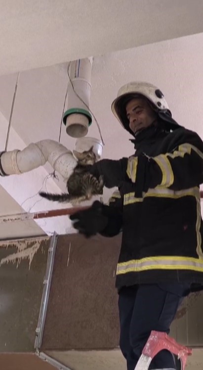 Hatay’ın Reyhanlı ilçesinde boruya sıkışarak mahsur kalan yavru kedi, itfaiyenin