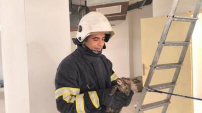 Hatay’ın Reyhanlı ilçesinde boruya sıkışarak mahsur kalan yavru kedi, itfaiyenin