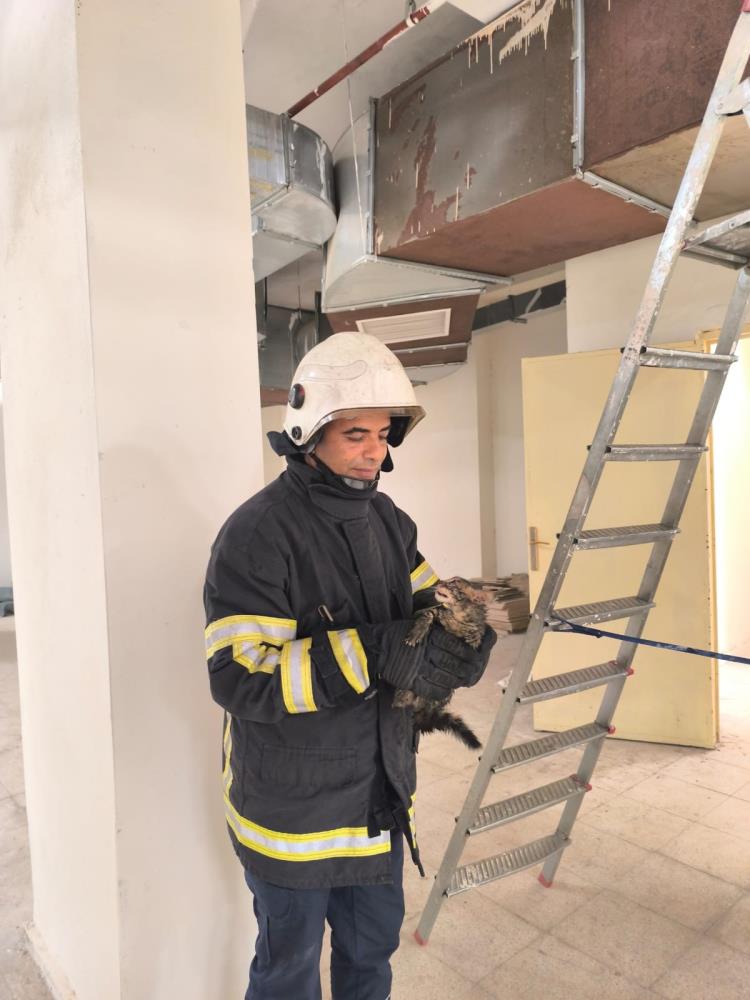 Hatay’ın Reyhanlı ilçesinde boruya sıkışarak mahsur kalan yavru kedi, itfaiyenin