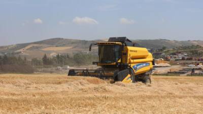Türkiye’nin önemli tarım merkezlerinden biri olan Hatay’da, kurak geçen kış