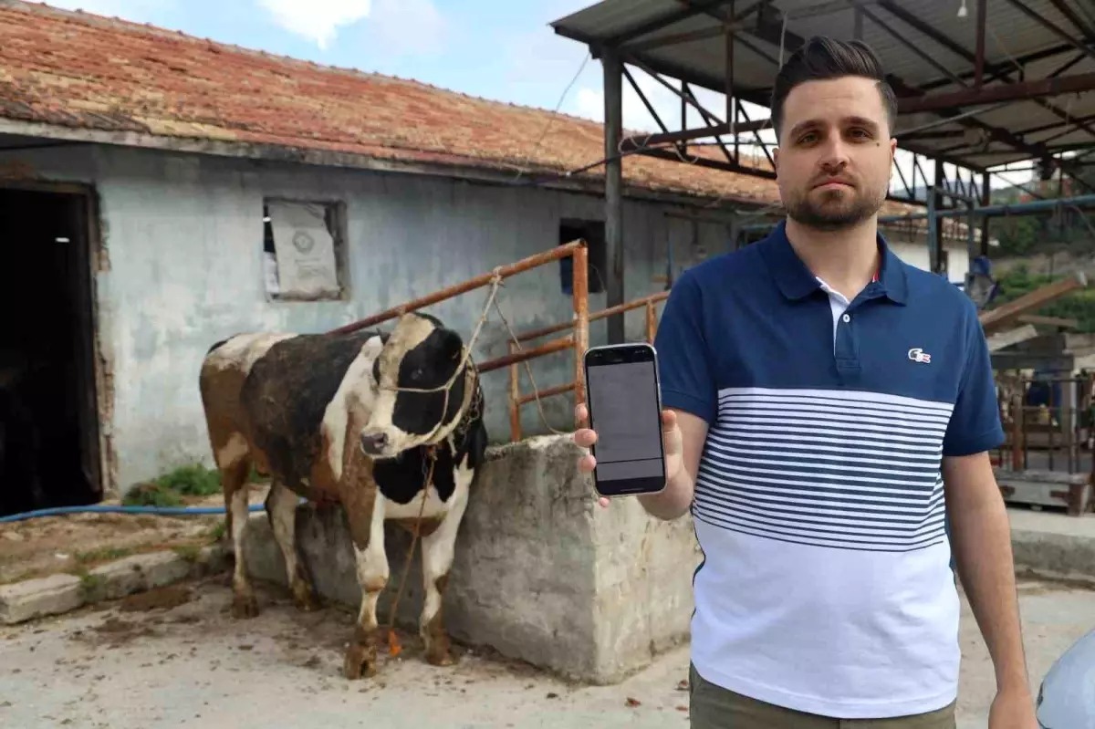 Antakya’da kurbanlık alışverişi yapmak isteyen besici Nuri Başak, sosyal medya