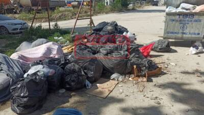 Hatay’ın Defne ilçesine bağlı Armutlu Mahallesi Turunçlu Caddesi’nde çöp konteynerlerinin