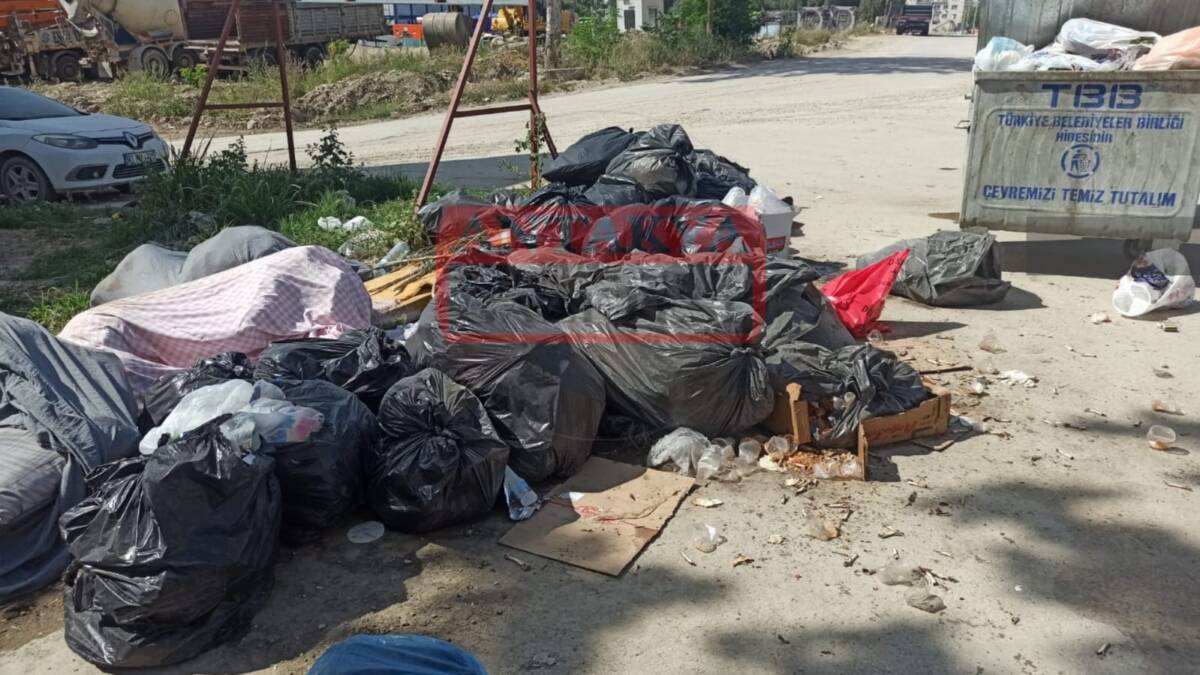Hatay’ın Defne ilçesine bağlı Armutlu Mahallesi Turunçlu Caddesi’nde çöp konteynerlerinin