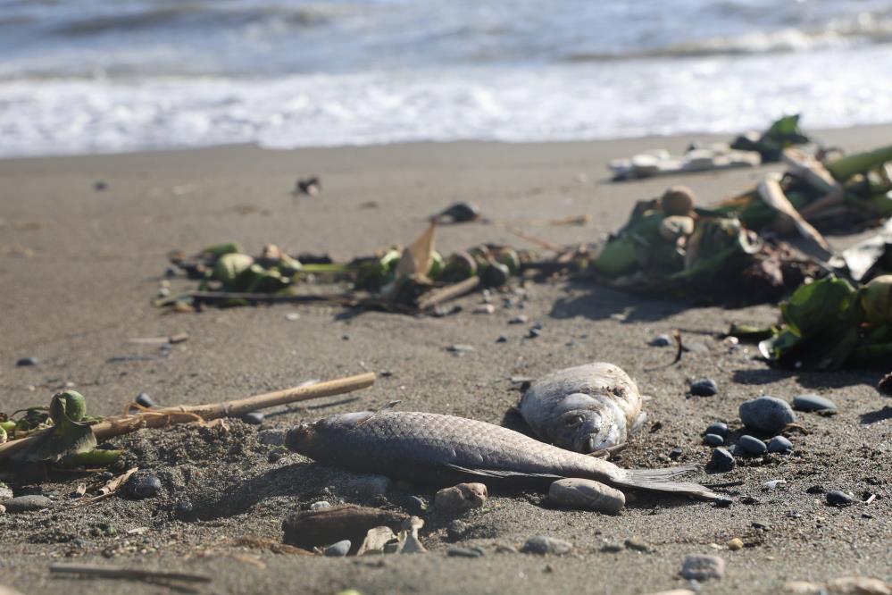 Hatay’ın Samandağ ilçesinde geçtiğimiz günlerde etkili olan sağanak yağışlar, çevresel