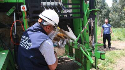 Hatay Büyükşehir Belediyesi, 6 Şubat depremlerinden etkilenen besicilere yönelik önemli
