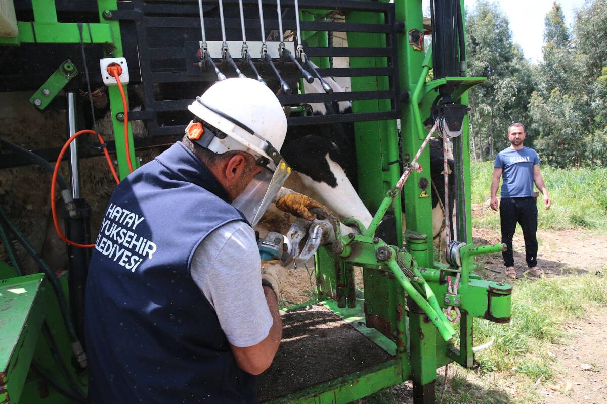 Hatay Büyükşehir Belediyesi, 6 Şubat depremlerinden etkilenen besicilere yönelik önemli