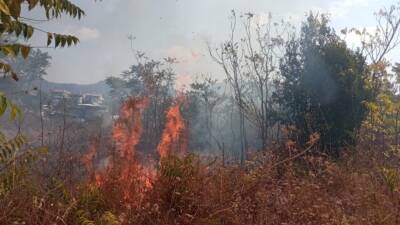 Hatay’ın Defne ilçesine bağlı Harbiye Mahallesi’nde bir bahçede henüz belirlenemeyen