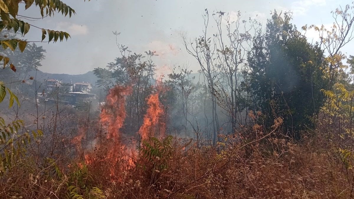 Hatay’ın Defne ilçesine bağlı Harbiye Mahallesi’nde bir bahçede henüz belirlenemeyen
