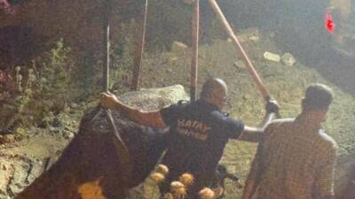 Hatay’ın Kırıkhan ilçesinde su kanalına düşerek çamura saplanan bir inek,