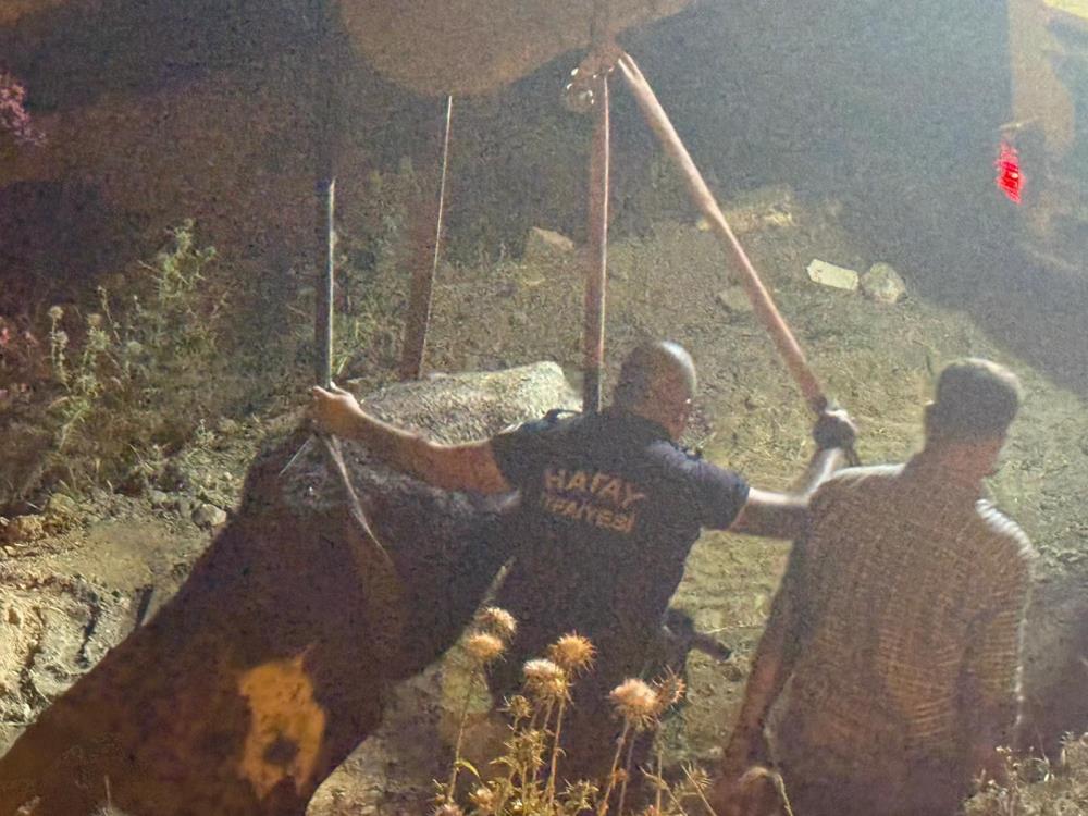 Hatay’ın Kırıkhan ilçesinde su kanalına düşerek çamura saplanan bir inek,