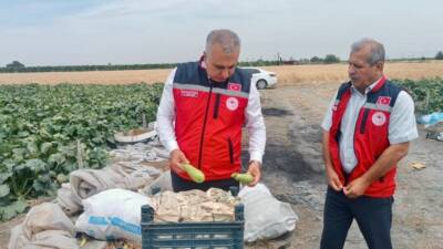 Hatay Tarım ve Orman İl Müdürü Abdurrahman Türkmen, kabak hasadı