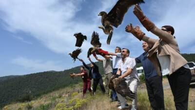 Hatay Mustafa Kemal Üniversitesi bünyesindeki Yaban Hayvanı Kurtarma ve Rehabilitasyon