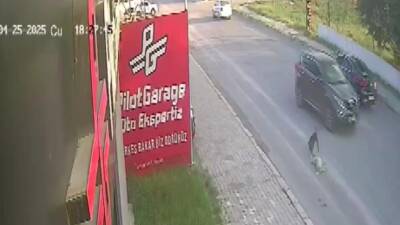 Hatay’ın Dörtyol ilçesinde bir aracın çarpması sonucu telef olan köpeğin