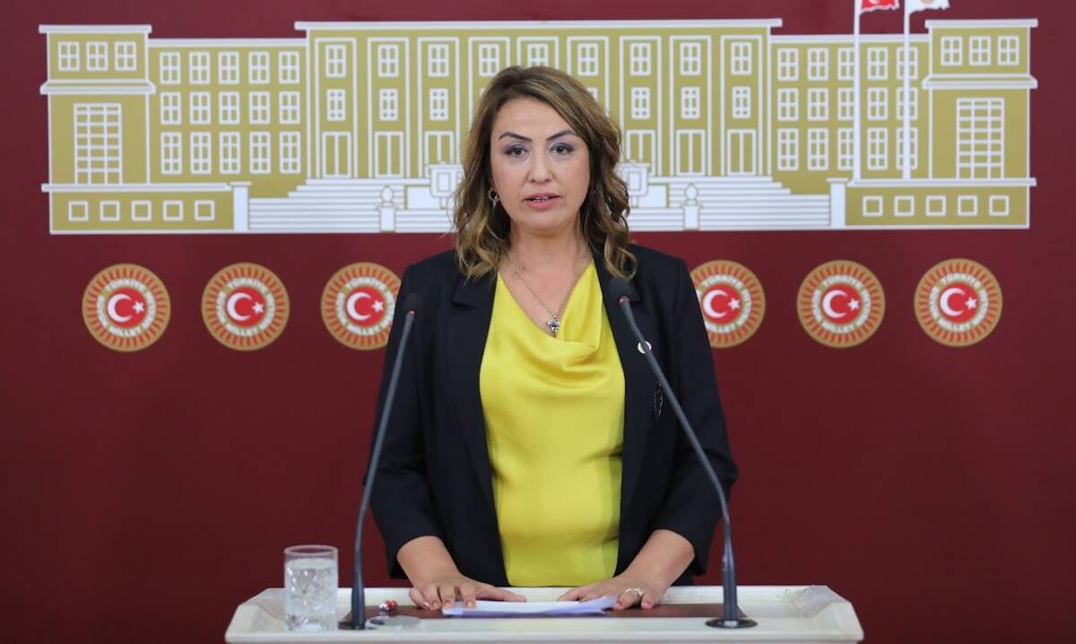 CHP Hatay Milletvekili Nermin Yıldırım Kara, Türkiye’deki emeklilerin yaşadığı ekonomik