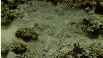 Hatay’ın Mağaracık Mahallesi’nde 3. Etap TOKİ konutlarının inşaat sahasında temel