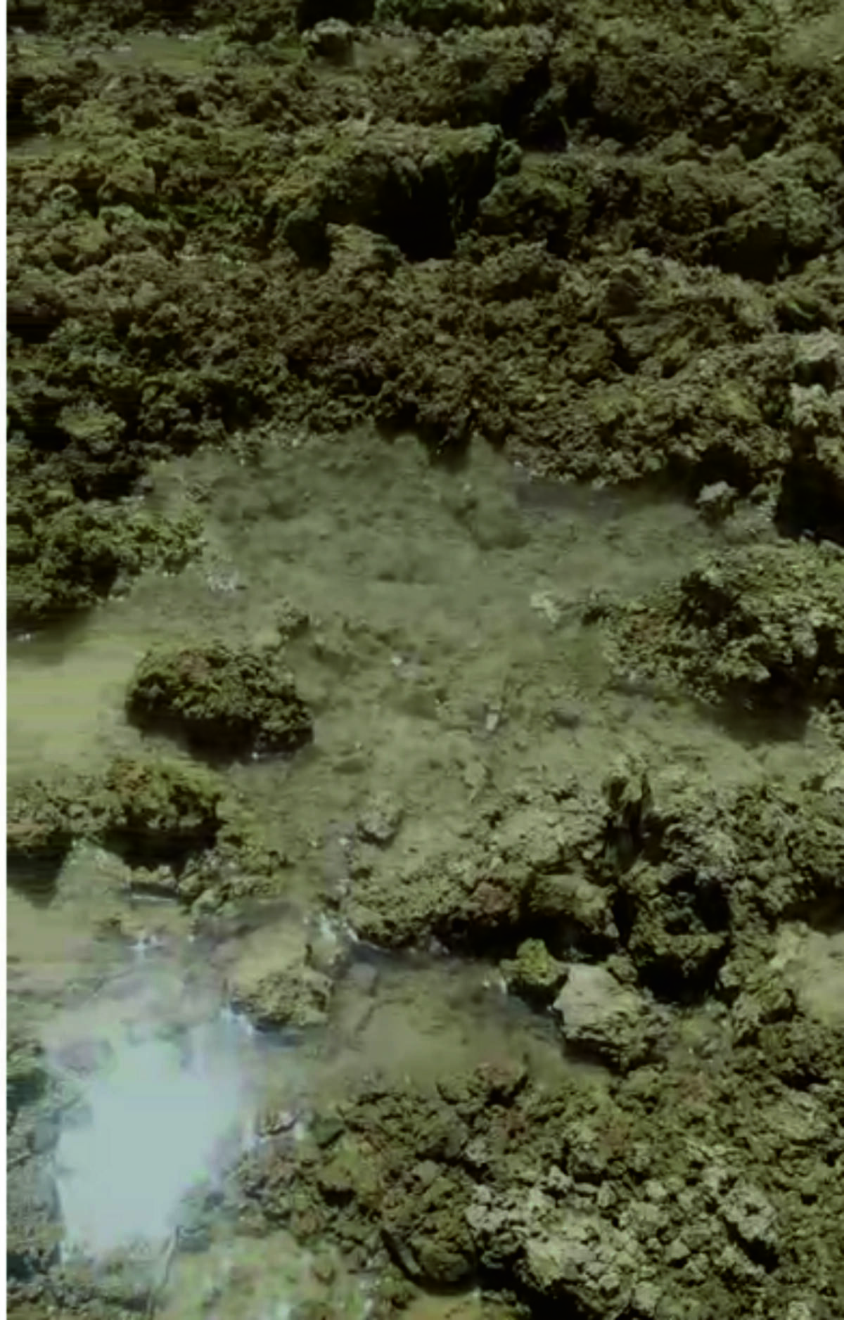 Hatay’ın Mağaracık Mahallesi’nde 3. Etap TOKİ konutlarının inşaat sahasında temel