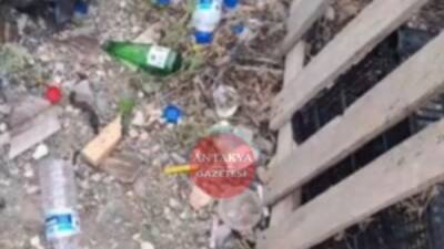 Hatay’ın Samandağ ilçesine bağlı Kasaba 1 mevkii, deniz yolu üzerindeki