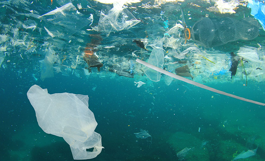 Küresel su krizine çözüm üretmek amacıyla yola çıkan ve Xatoms