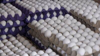 Resmî Gazete’de yayımlanan Cumhurbaşkanı Kararı ile, yumurta ihracatında uygulanan kilo