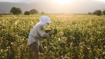 Avrupa ortalaması %1,5’te kalırken Türkiye’de güvencesiz çalışma oranı %6,4’e ulaştı.