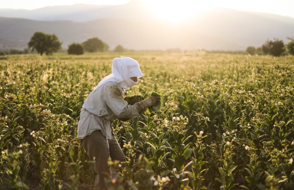 Avrupa ortalaması %1,5’te kalırken Türkiye’de güvencesiz çalışma oranı %6,4’e ulaştı.