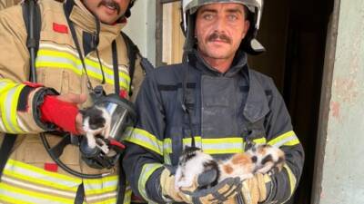 Hatay’ın merkez ilçesi Antakya’da bulunan bir metruk binada çıkan yangın