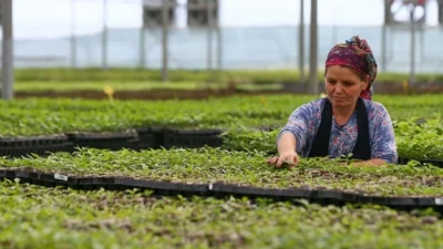 Türkiye Girişimcilik Vakfı (GİRVAK) tarafından, Google.org desteğiyle yürütülen “Geleceğin Kooperatifleri