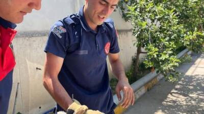 Hatay’ın İskenderun ilçesinde bir aracın motor bölümüne giren yavru kedi,
