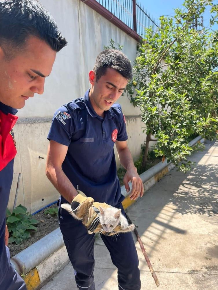 Hatay’ın İskenderun ilçesinde bir aracın motor bölümüne giren yavru kedi,