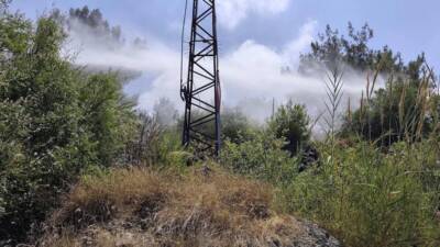 Hatay’ın İskenderun ilçesi Denizciler Mahallesi’nde ormanlık alanda çıkan yangın, ekiplerin