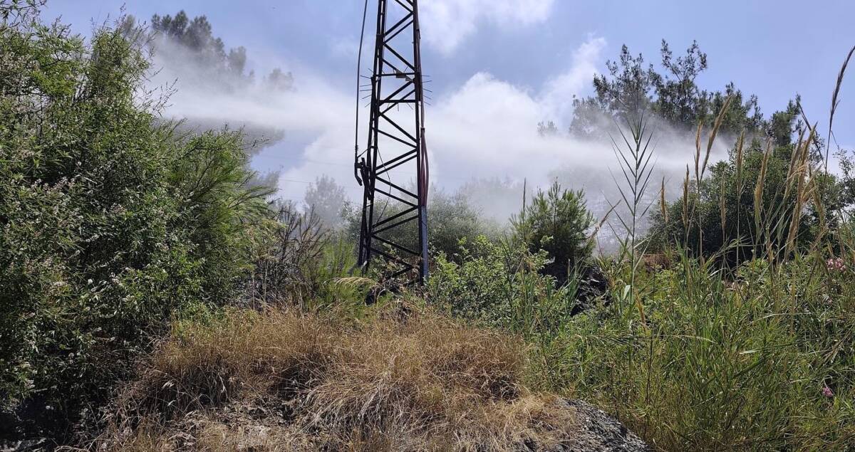 Hatay’ın İskenderun ilçesi Denizciler Mahallesi’nde ormanlık alanda çıkan yangın, ekiplerin