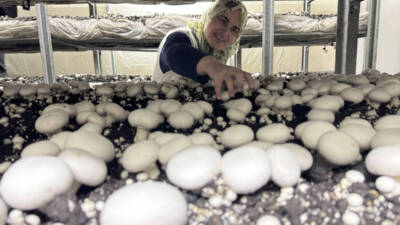  Hatay'da iki çocuk annesi 53 yaşındaki Neslihan Akçan, gıda mühendisi