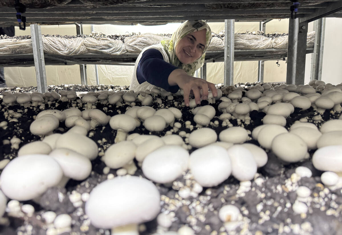  Hatay'da iki çocuk annesi 53 yaşındaki Neslihan Akçan, gıda mühendisi