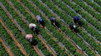 Tarım ve Orman Bakanı İbrahim Yumaklı, 5 milyar 519 milyon