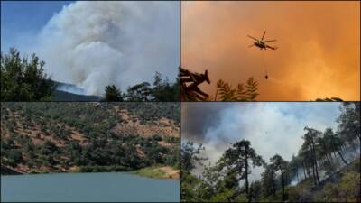 Valilerin başkanlığında toplanan Orman Yangınları Mücadele Komisyonları, yaklaşan yaz sezonu