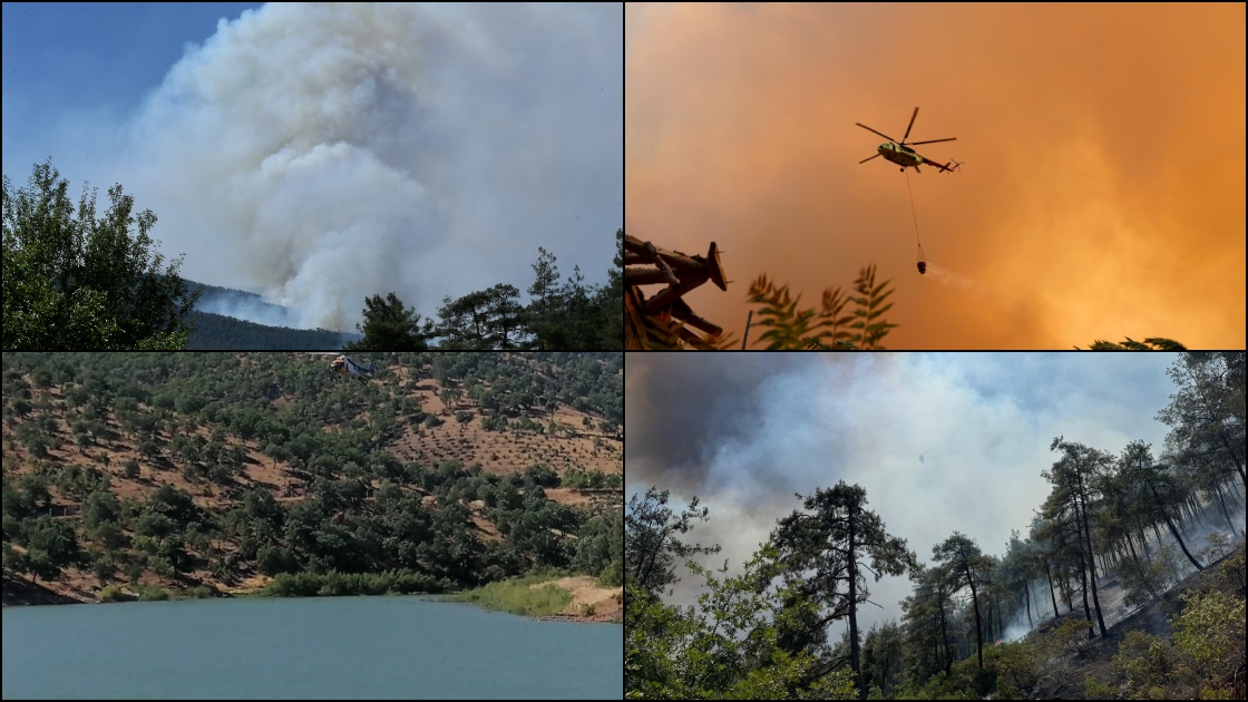Valilerin başkanlığında toplanan Orman Yangınları Mücadele Komisyonları, yaklaşan yaz sezonu