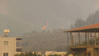 Hatay’ın Antakya ilçesine bağlı Karaali Mahallesi’nde başlayan orman yangını, rüzgarın