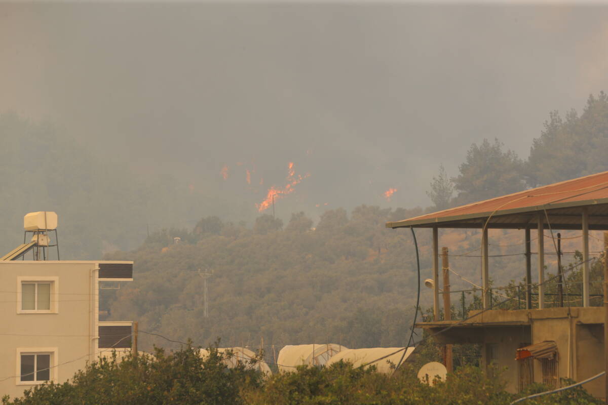 Hatay’ın Antakya ilçesine bağlı Karaali Mahallesi’nde başlayan orman yangını, rüzgarın