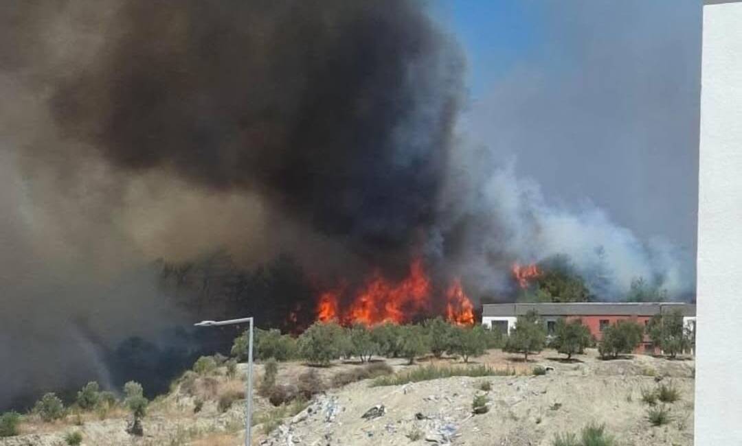Hatay’ın Antakya ilçesine bağlı Karaali Mahallesi yakınlarında büyük bir orman