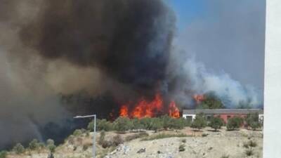 Hatay’ın Antakya ilçesine bağlı Karaali Mahallesi yakınlarında büyük bir orman