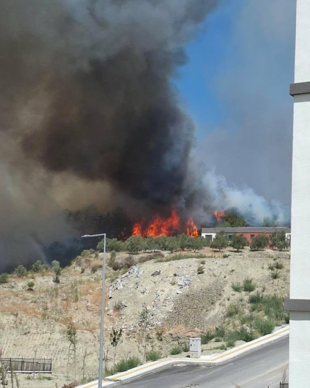 Hatay’ın Antakya ilçesine bağlı Karaali Mahallesi yakınlarında büyük bir orman