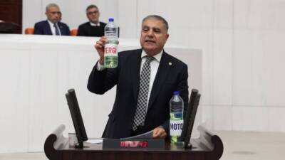 CHP Hatay Milletvekili Mehmet Güzelmansur, Türkiye Büyük Millet Meclisi (TBMM)