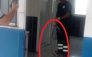 Hatay’ın Payas ilçesinde bir fabrikaya giren yılan, itfaiye ekiplerinin müdahalesiyle