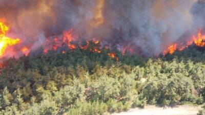   Hatay’ın Antakya ilçesinde Karaali Mahallesi’nden başlayarak Oğlakören ve Üçgedik